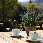 Devin Spa Hotel 4* Devin