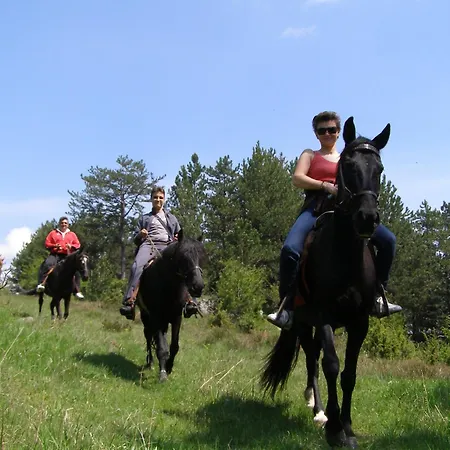 فندق Devin Spa Hotel