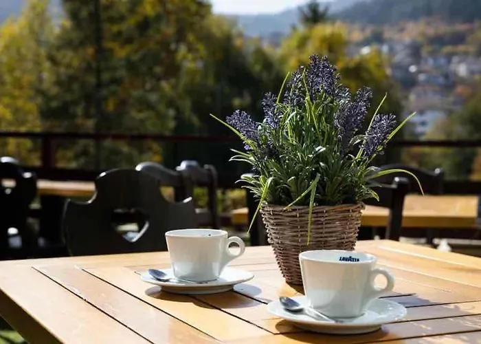 Devin Spa Hotel 4* ديفين