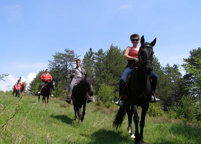 מלון Devin Spa Hotel