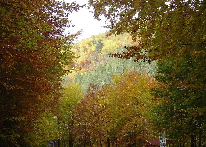 מלון Devin Spa Hotel דבין