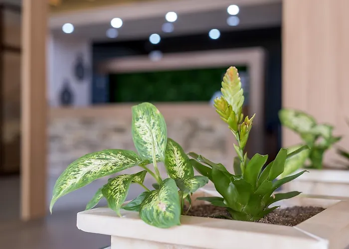 فندق Devin Spa Hotel 4*